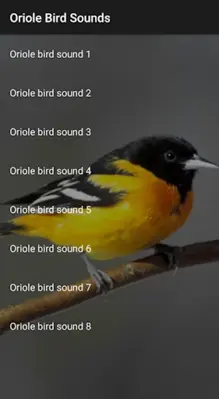 Oriole Bird Sounds android App screenshot 0